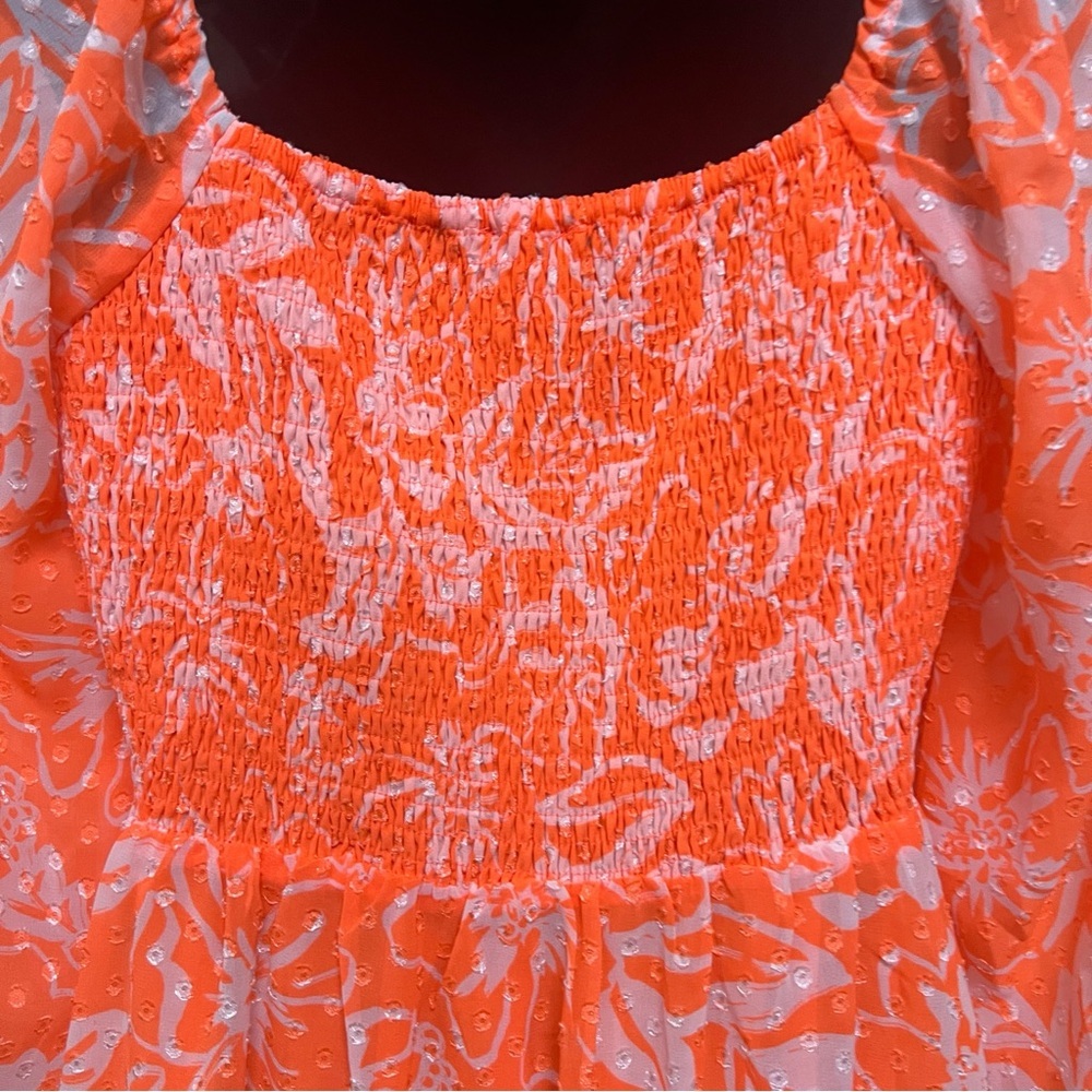 ⭐️⭐️HP ⭐️⭐️Skies Are Blue Apricot Lane dress - Picture 3 of 15